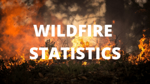 24+ Blazing Wildfire Statistics for the US and Abroad