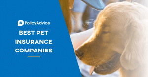 Best Pet Insurance Companies in 2023