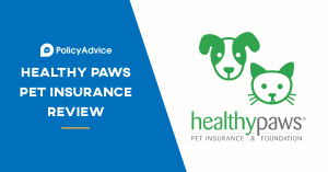 Healthy Paws Pet Insurance Review