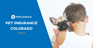 Pet Insurance Colorado: Our Top Picks