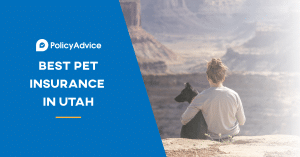 Best Pet Insurance Utah