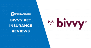 bivvy pet insurance reviews