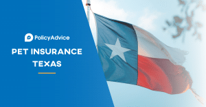 Best Pet Insurance in Texas