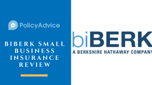 biBERK Small Business Insurance Review